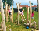 ROBINIA GESCHUURDE PALEN