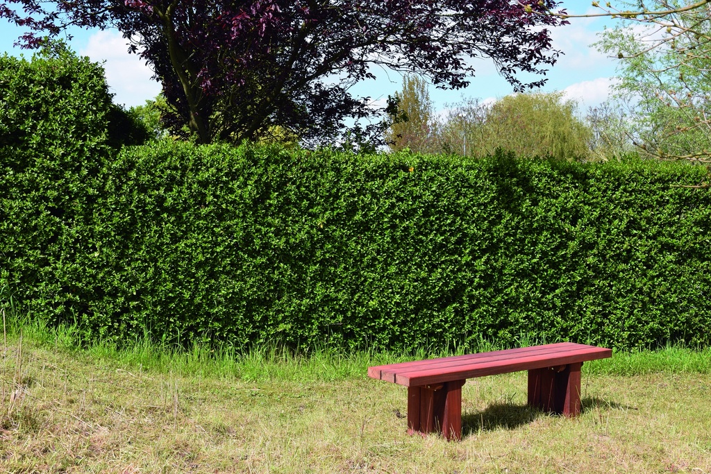 [P851*] BRUSSEL - INGRAVEN