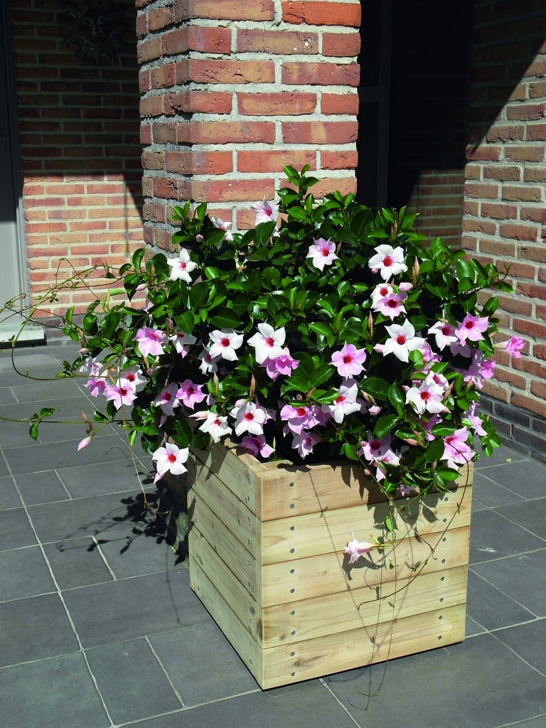 [7040*] BAC À FLEURS QUADRO