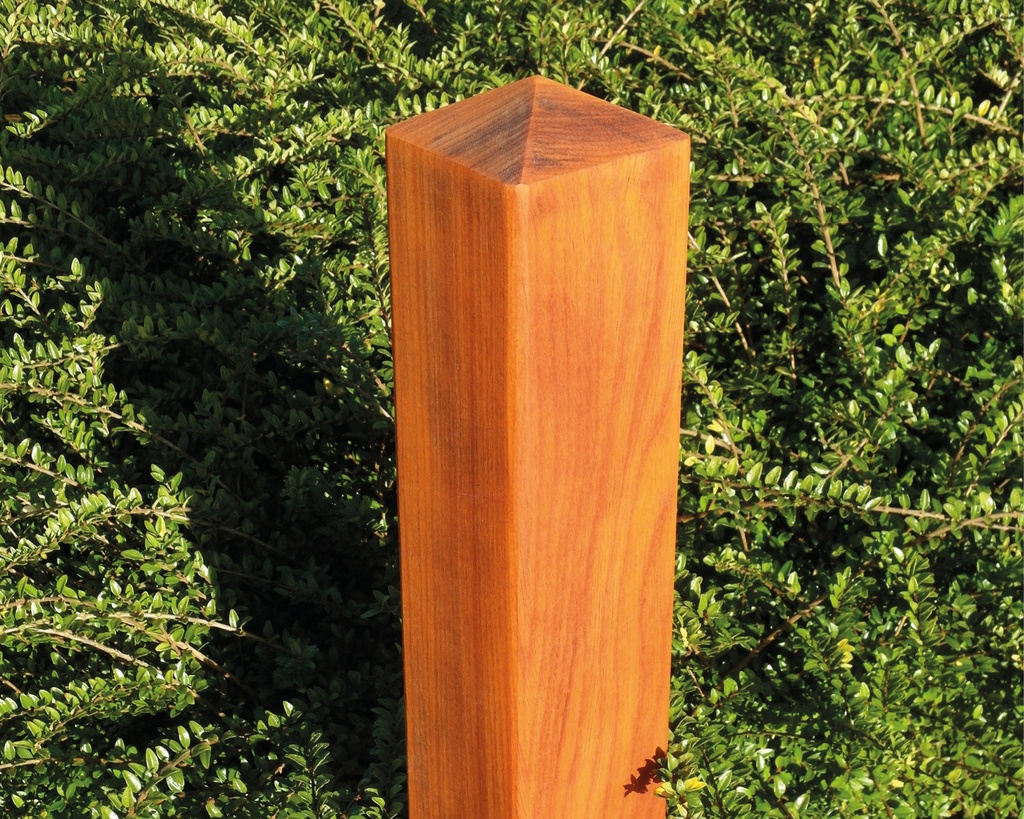 [P906*] BORNES FIXES PADOUCK 